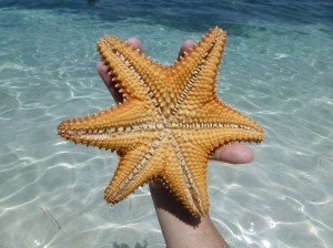 011. Illa de Chichimey. Arxipèlag de San Blas