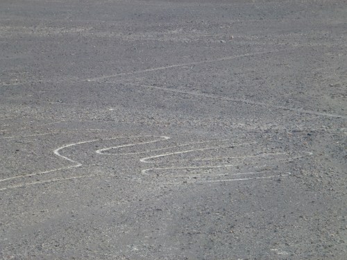 077. Línies de Nazca